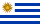 URUGUAY flag