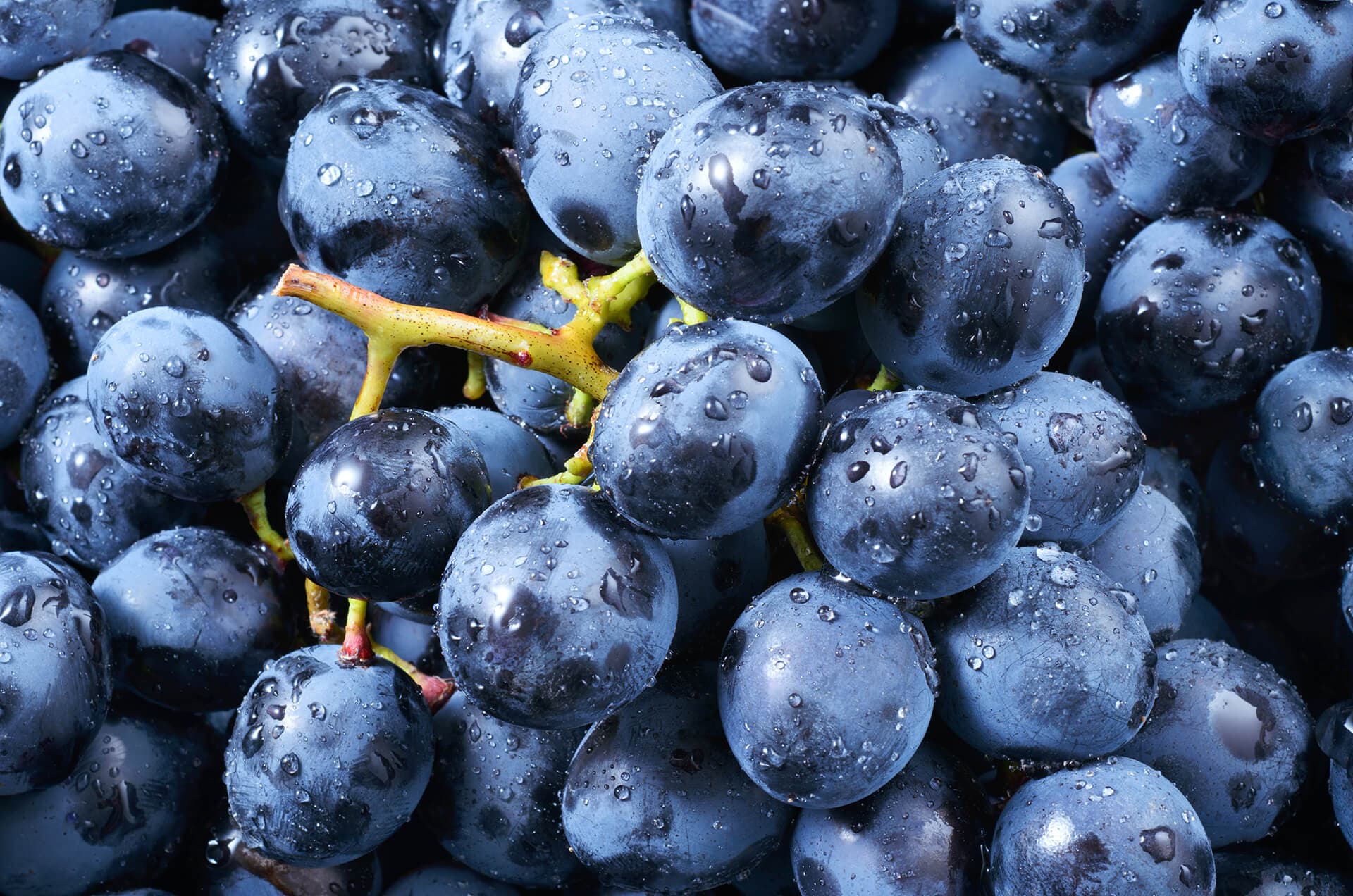 Dark Grapes Background